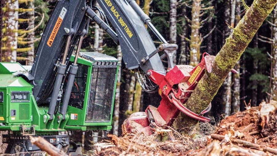 Forestry harvester head felling tree