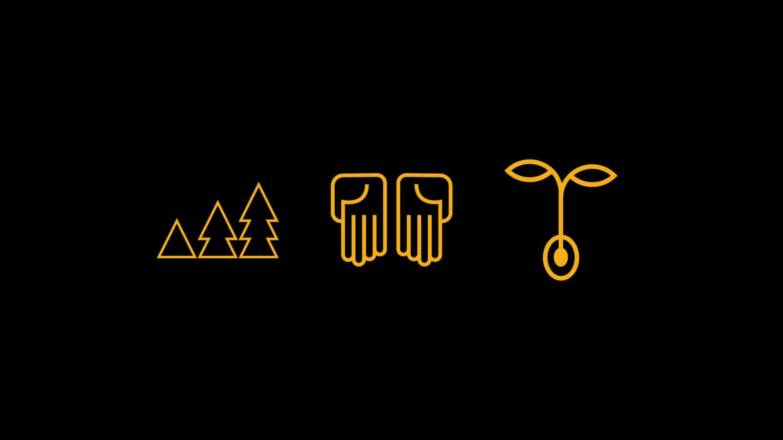 Anjuna gold line icons on black