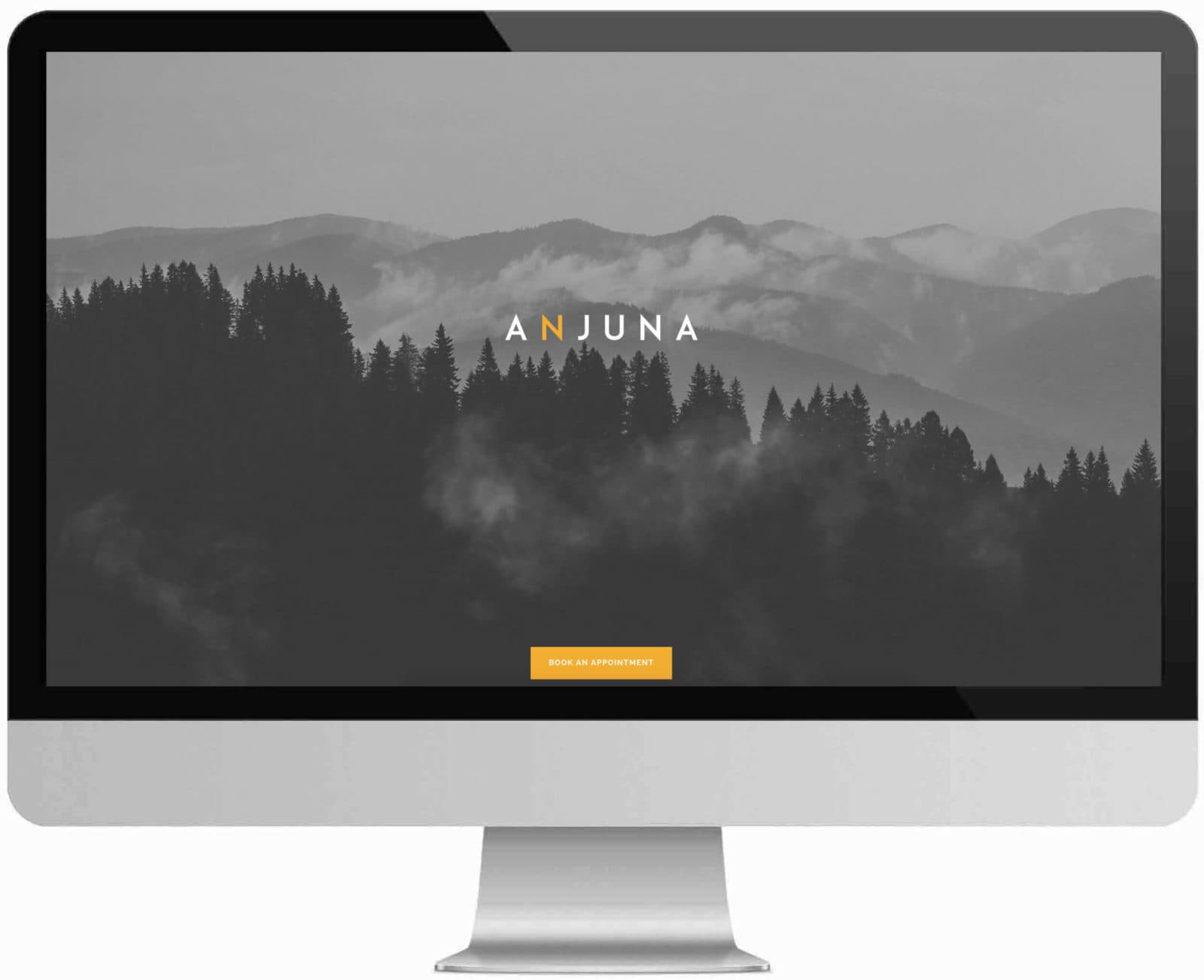 Anjuna Medicine website on an iMac