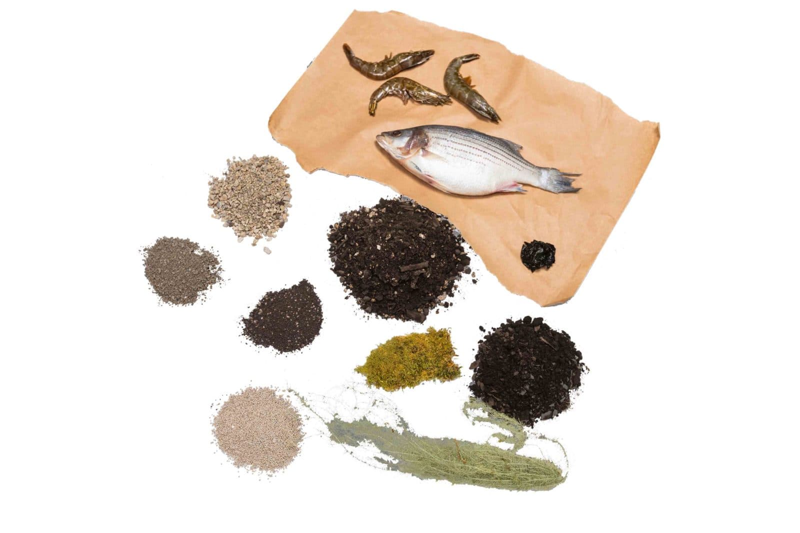 Organic soil ingredients flat-lay on white