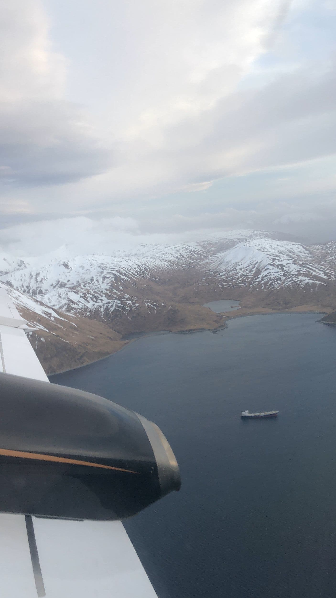 Alaska fjord from plane window (portrait)