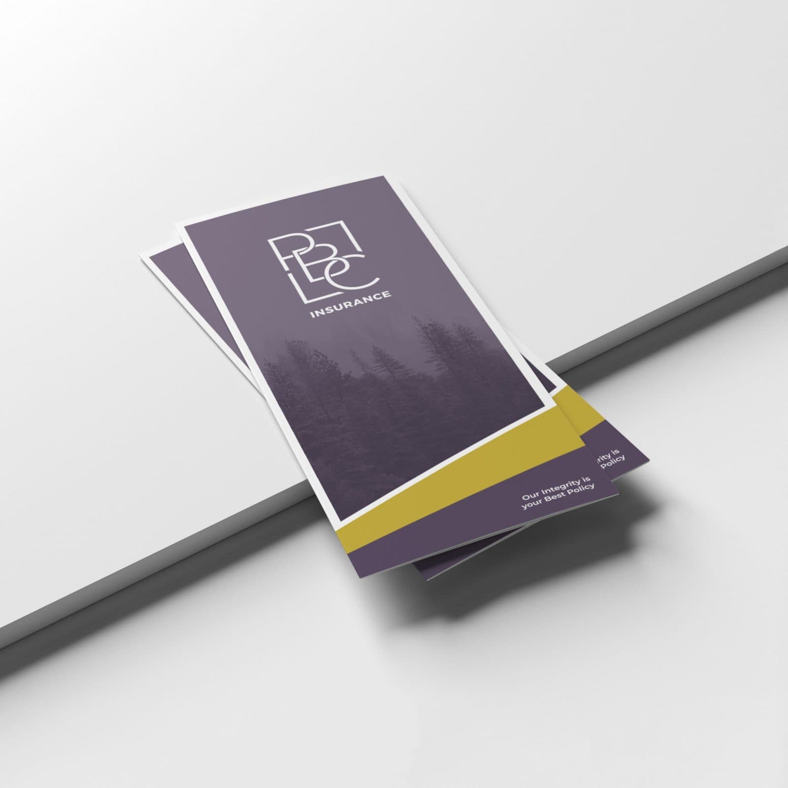 PBC Insurance brochure design