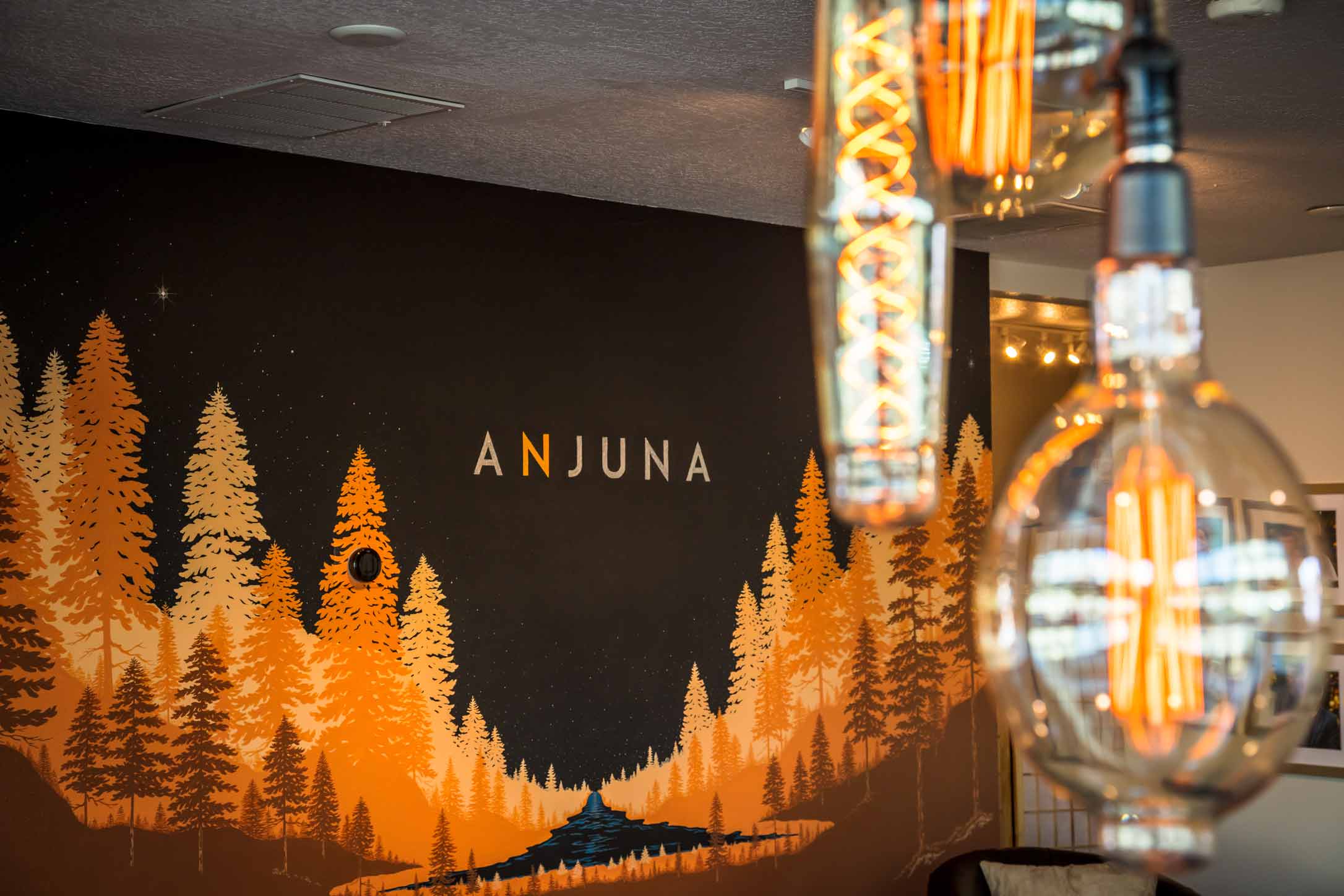 Anjuna clinic interior with forest mural