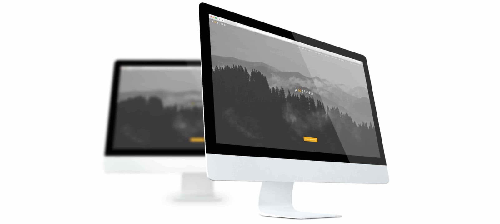 Anjuna site on two iMacs