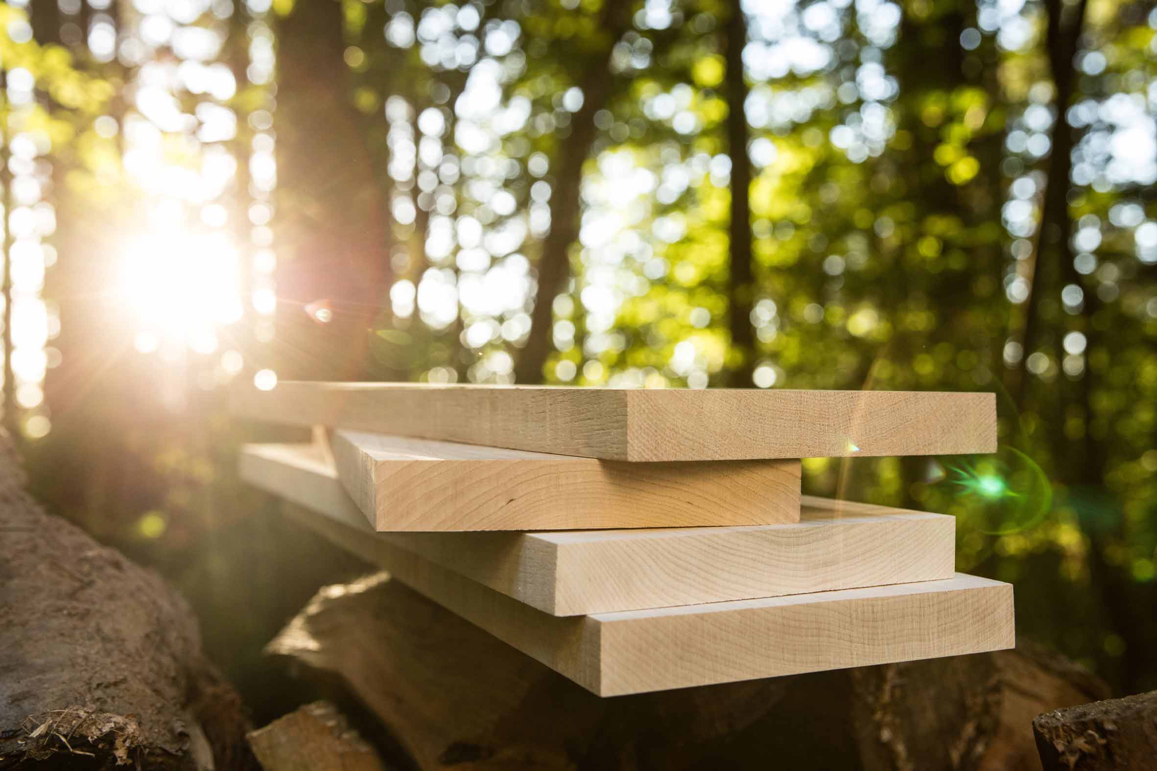 Hardwood boards stacked in sunlit forest